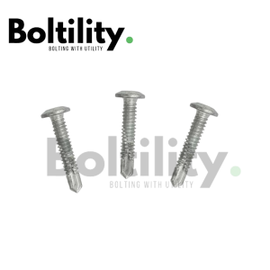 wafer head, self drilling screw,