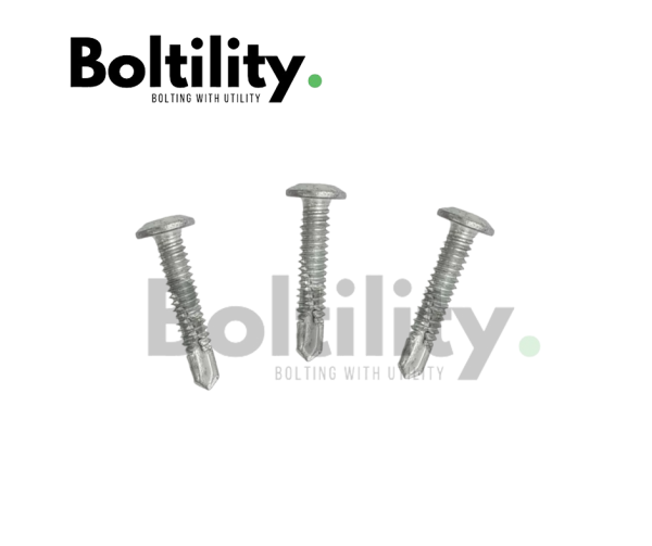wafer head, self drilling screw,