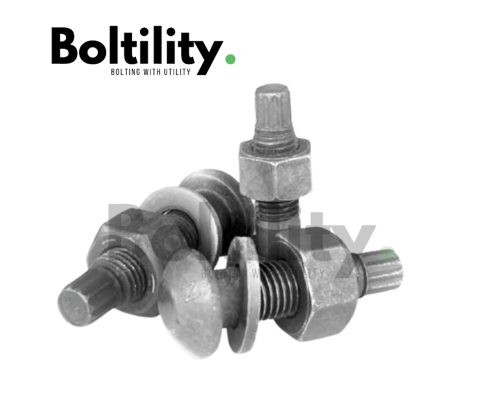 High Strength Tension Control Bolt (TC Bolt)